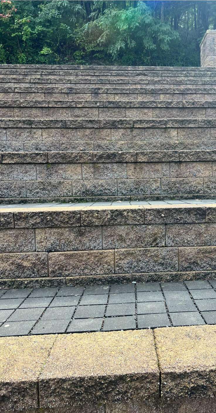 Tan stone steps and a paver landing before the wash, dark with organic staining