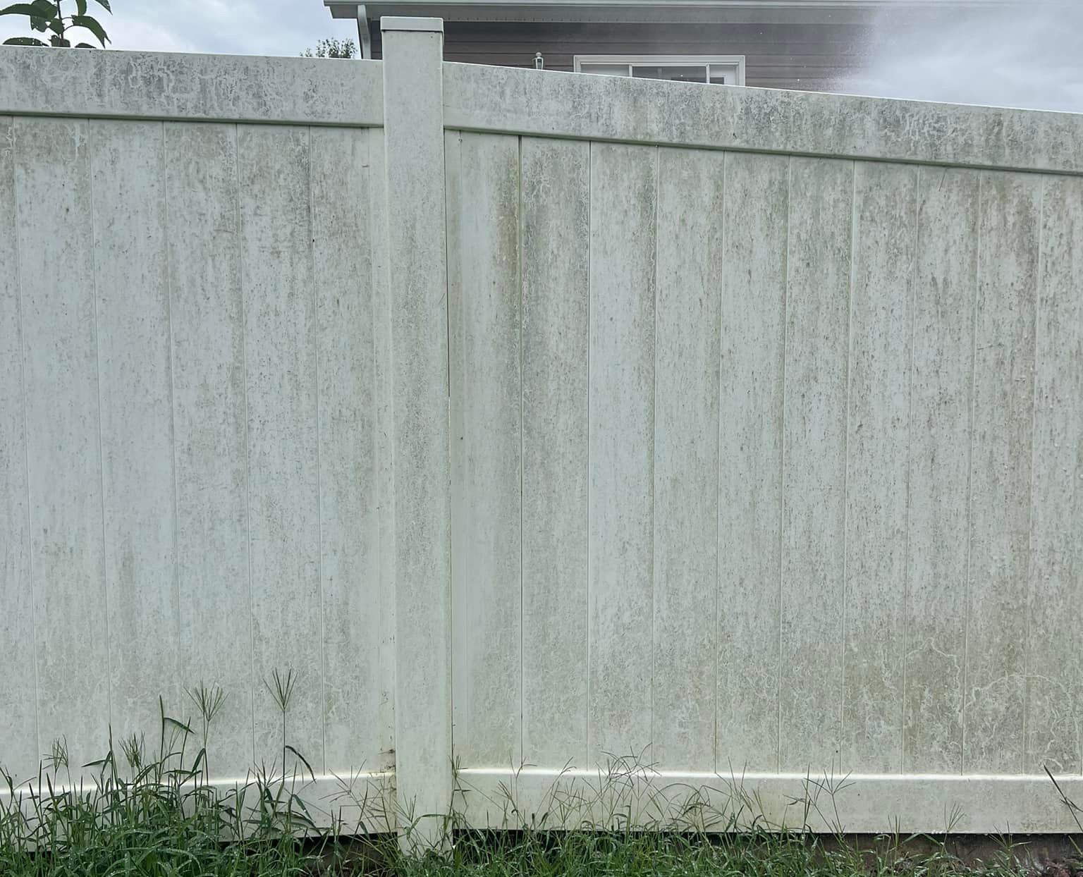 A white vinyl fence heavily stained with green algae before the wash
