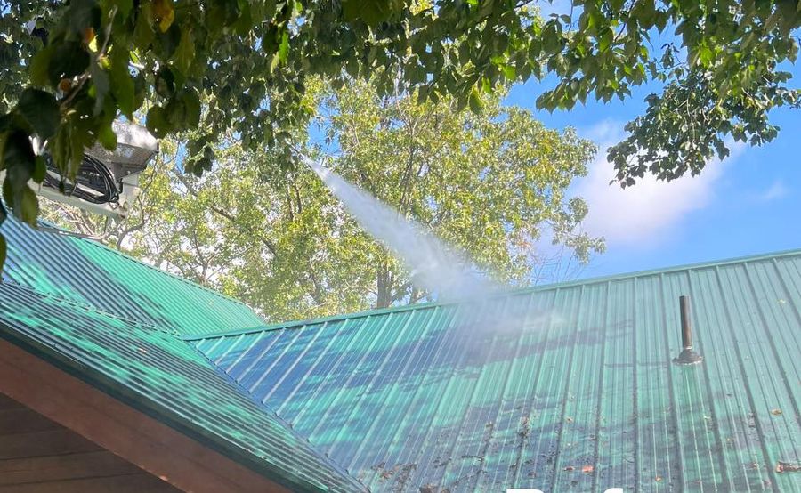 Rinsing a painted metal roof under tree cover, the spray arcing across the panels